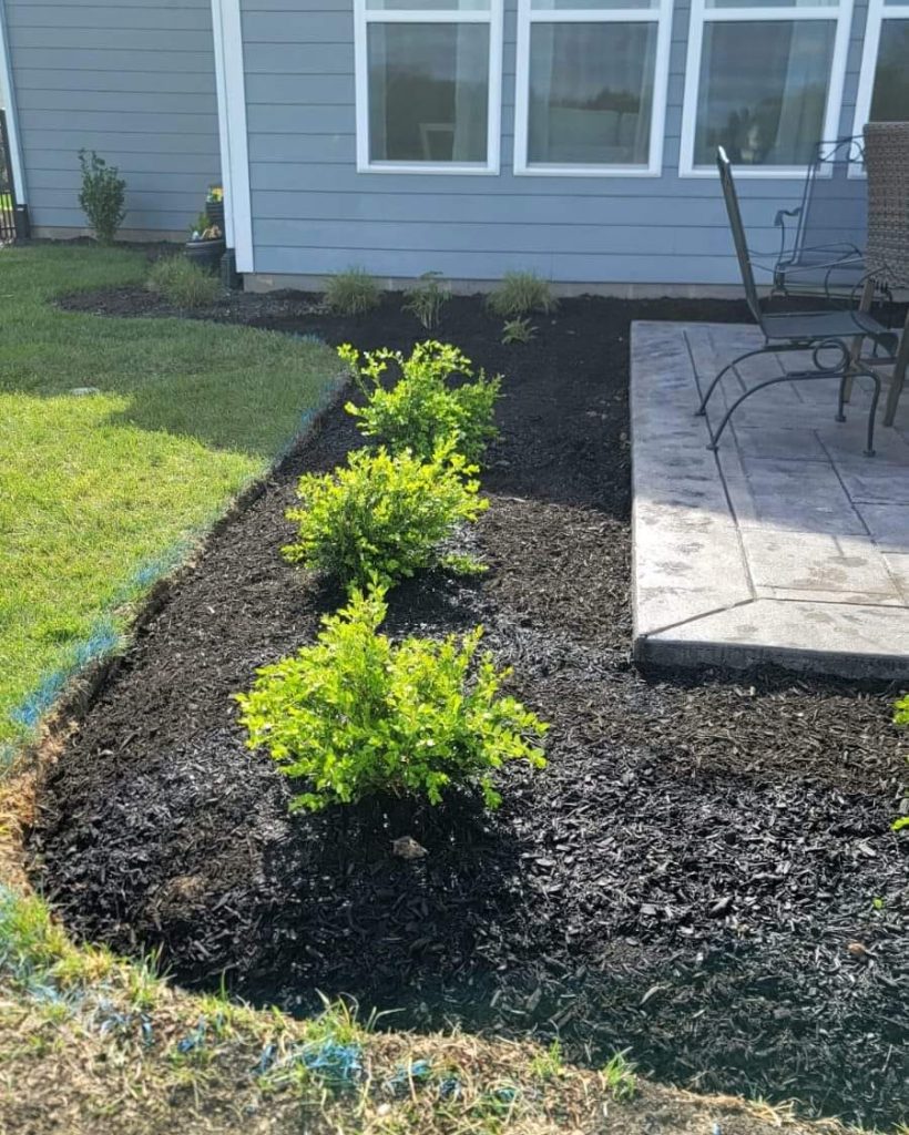 471510478_122134600412452600_6782664919115298653_n